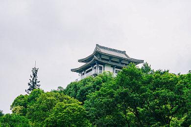 《战地6》8K最高画质测试 RTX 5090完全能驾驭